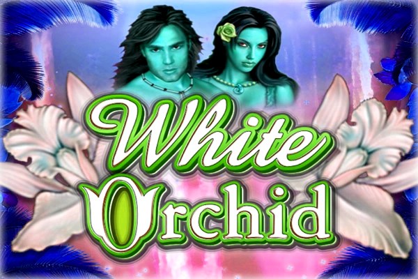 White Orchid Demo Slot